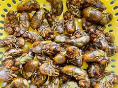 -苏州河梦清园环保主题公园