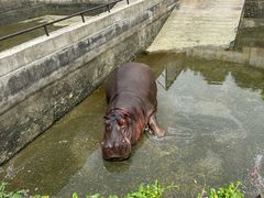 -合肥野生动物园