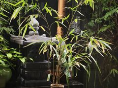 -王府茶楼茶宴·创意菜(朝阳公园店)