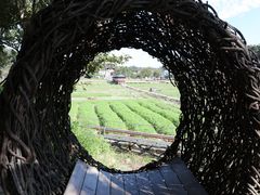-红山村