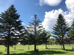 -轻井泽王子购物广场