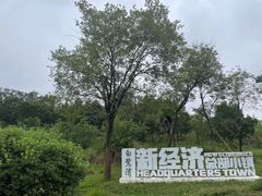 -白鹭湾湿地公园