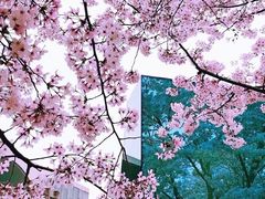 -龙美术馆(西岸馆)