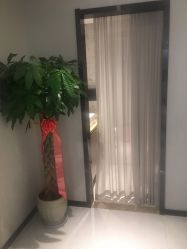 -阅年轻·AI家庭健康体质调理