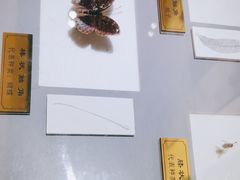 -上海昆虫博物馆