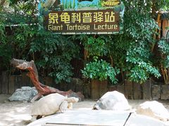 -广州长隆飞鸟乐园