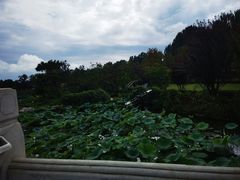 -静之湖度假区