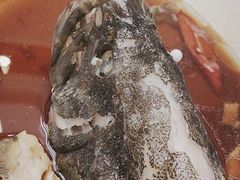 -百姓渔村(朝阳店)