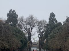 -西安碑林博物馆