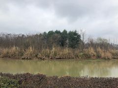 -白鹭湾湿地公园