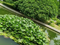 -济南南郊宾馆