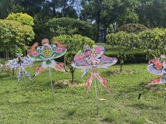 -南宫五洲植物乐园