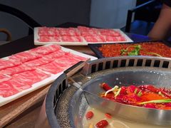 -辣伍鲜毛肚老火锅(元一店)