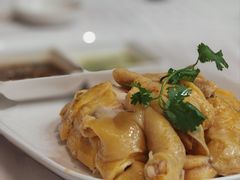 正宗白切鸡-巫记鸡饭店
