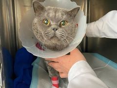 -康乐宝动物医院