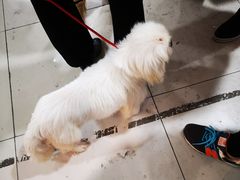 -万达广场(扬州邗江店)