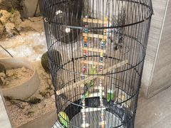 -云中漫步·足疗养生会馆(金开店)