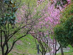 -苏州环秀晓筑养生度假村
