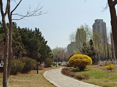 -前关湿地公园
