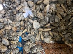 -鑫渔港海鲜本地菜·山海关浑锅(东戴河店)