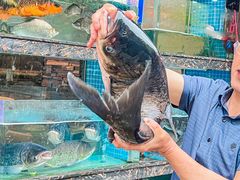 -浔味·山屿湖·正宗淳牌全鱼宴老字号