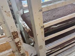 -爱德顺糕点食屋(利民道店)