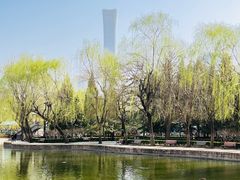 -团结湖公园