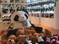 -大连森林动物园熊猫馆纪念品商店