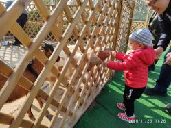 -萌宠亲子动物乐园(槐房万达店)