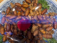 -鸽子窝(宋庄店)