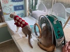 -纳吉亚猫专科动物医院·北北分院