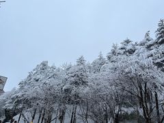 -峨眉山风景名胜区