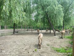 -溱湖国家湿地公园