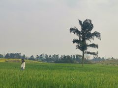 -三圣花乡旅游区