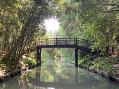 -同里国家湿地公园