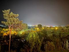 -禅宗少林·音乐大典