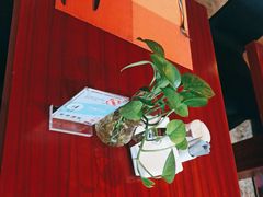 -温州喜来登酒店-盛宴西餐厅