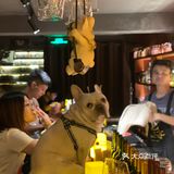 深夜放松一杯酒
