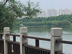 -洋湖国家湿地公园