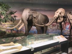 -湖南省地质博物馆