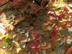 景观位-大王油茶(二厂文创公园店)