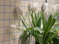 -一坐一忘云南菜(嘉里中心店)