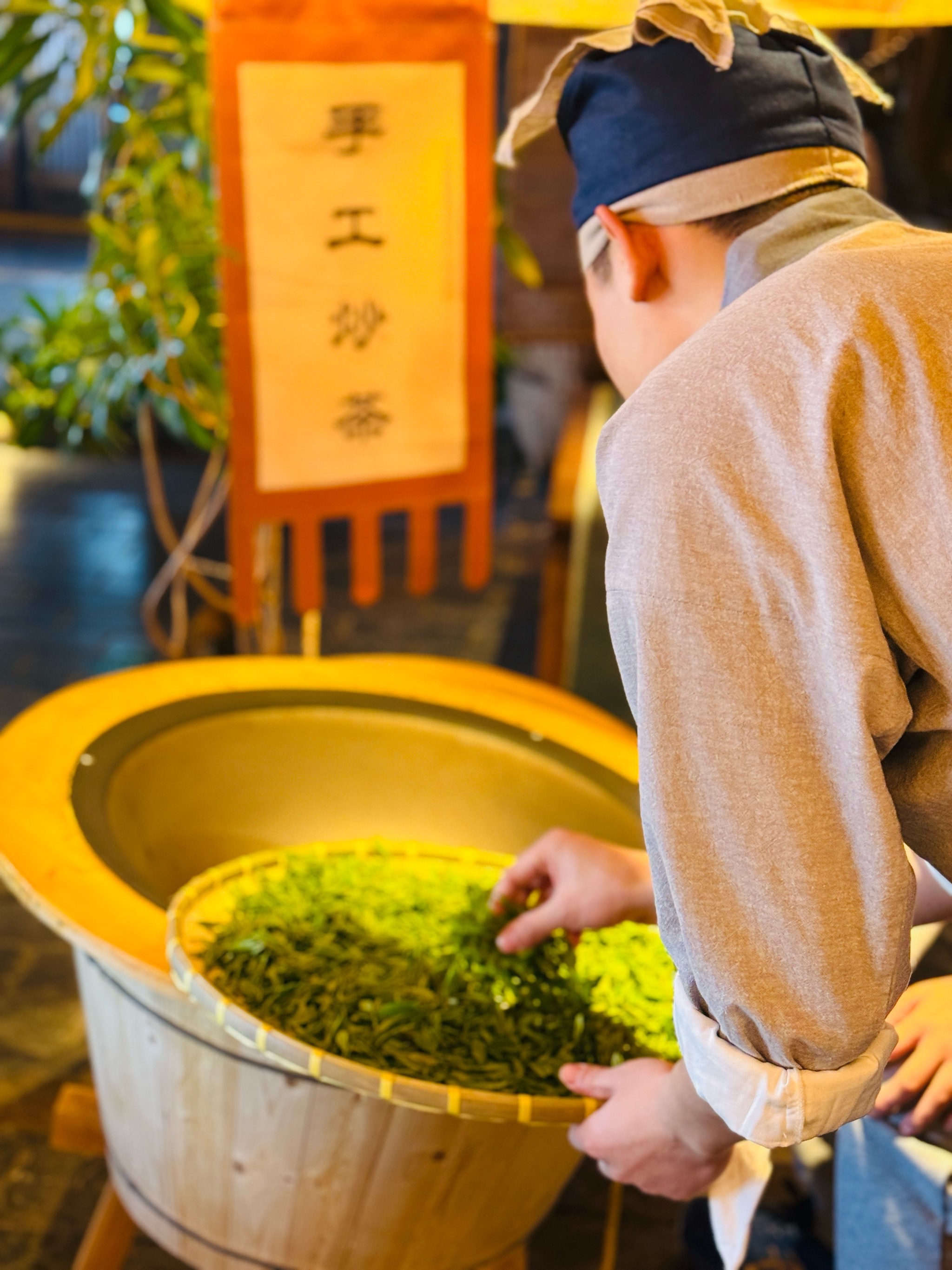 🍃把春天带回家