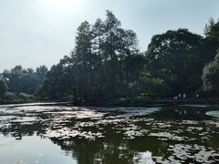 -杭州植物园