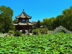 -莲池书院博物馆