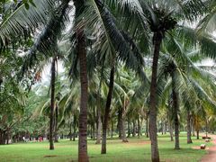 -白沙门生态公园