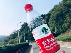 -火炉山森林公园