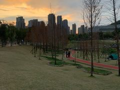 -牛岗山公园