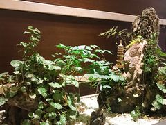 -杭州香格里拉·香宫中餐厅