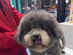 -博特宠物医院24h犬猫全科.骨科·异宠